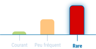 Niveau 3