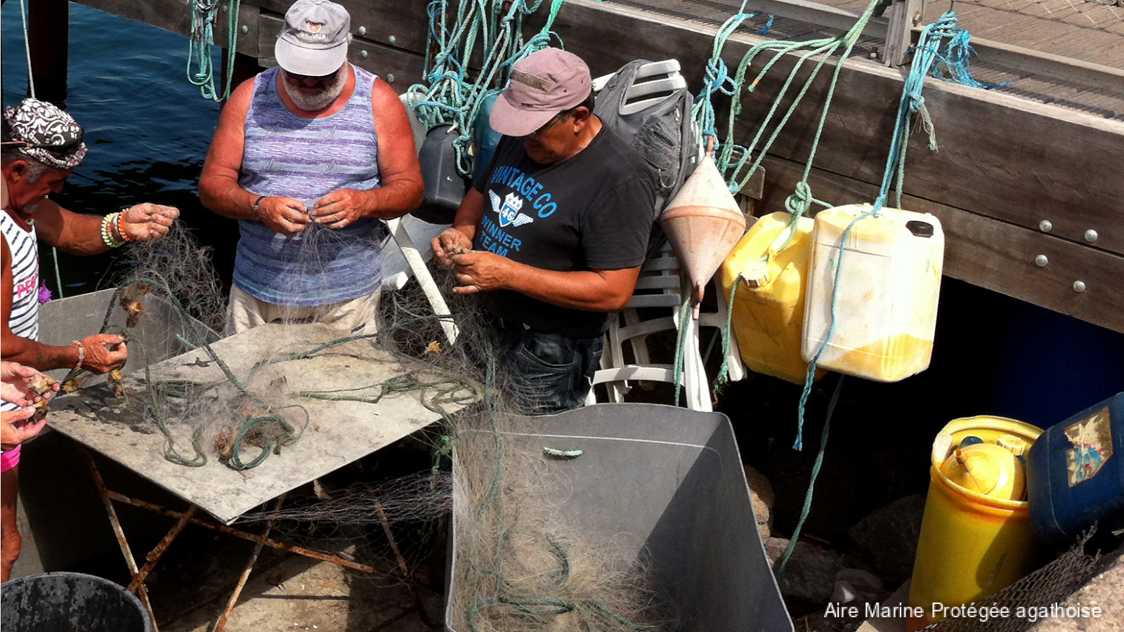 NA-MUR : Stabuler des gastéropodes