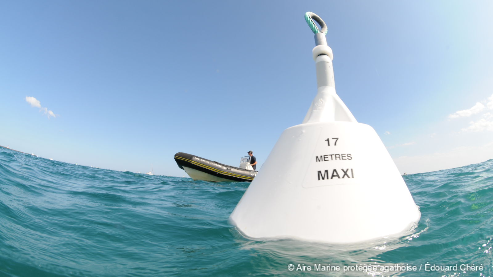 Mouillages écologiques