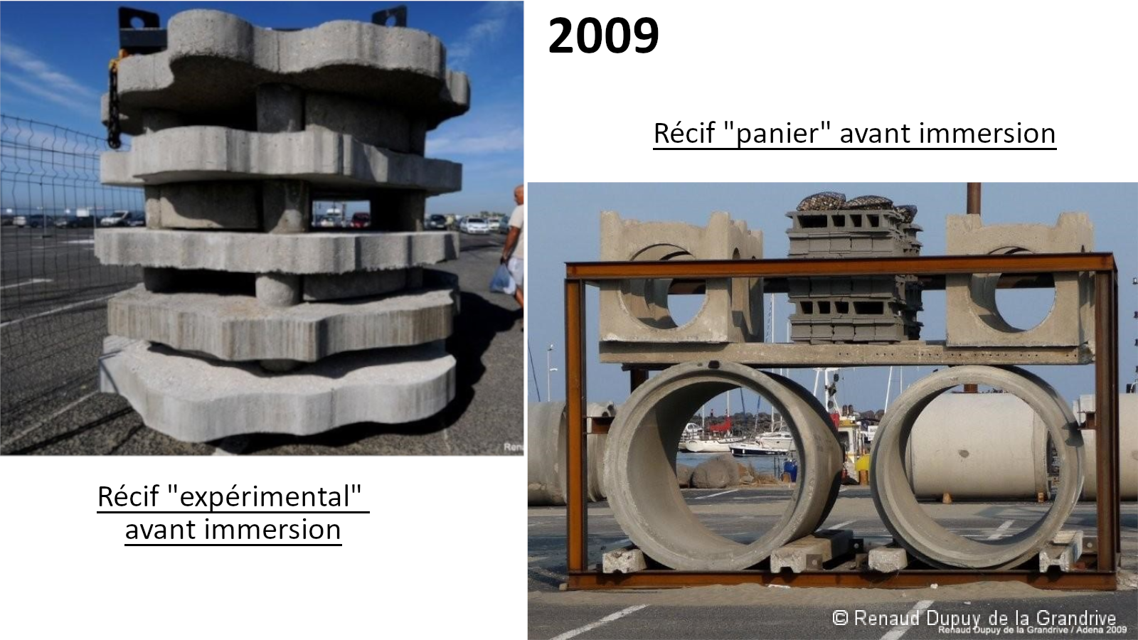 Récifs de production "expérimental" et "panier" avant immersion
